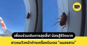 แมลงสาบ