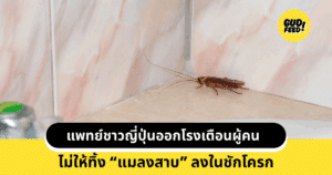 แมลงสาบ