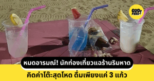 แก้วเครื่องดื่ม