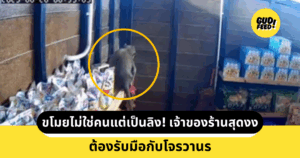ลิง