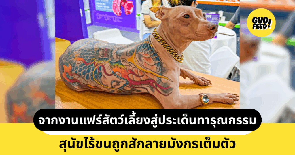 สุนัขสักลาย