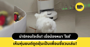 น้องหมา