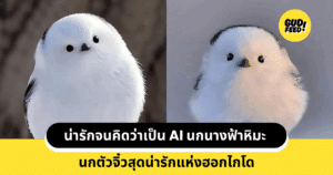 นกนางฟ้าหิมะ