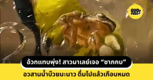 ซากกบ