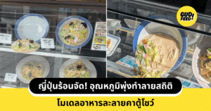 โมเดลละลาย