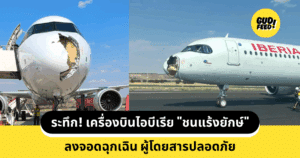 เครื่องบินชนแร้ง