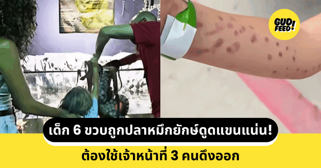 ปลาหมึกยักษ์