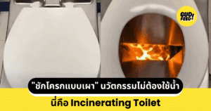 ชักโครกแบบเผา