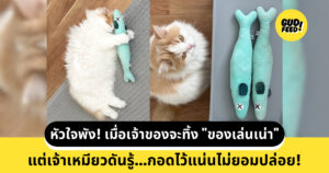 เจ้าเหมียว