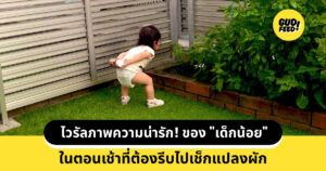 เด็กน้อย