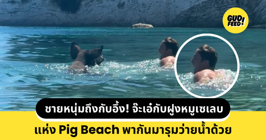 Pig Beach