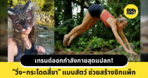 ออกกำลังกายแบบสัตว์