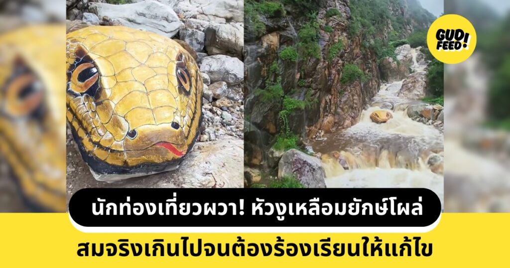 หัวงูเหลือมยักษ์