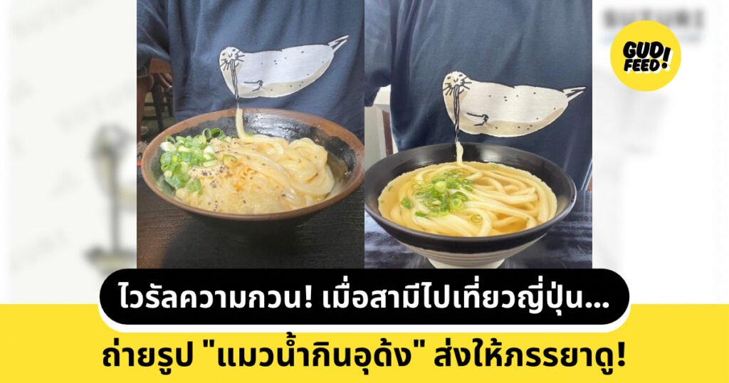 แมวน้ำกินอุด้ง