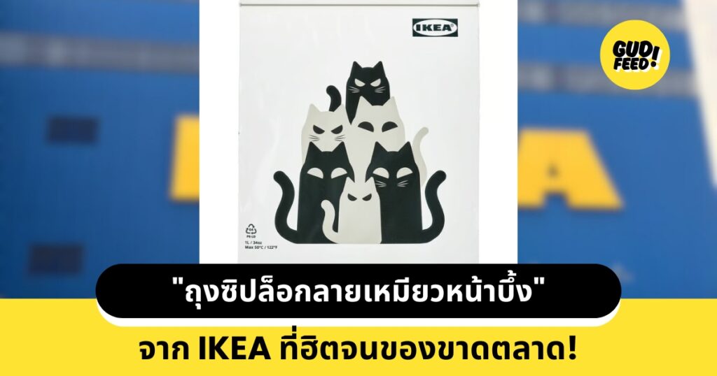 ถุงแมวฮาโลวีน