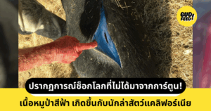 หมูป่า