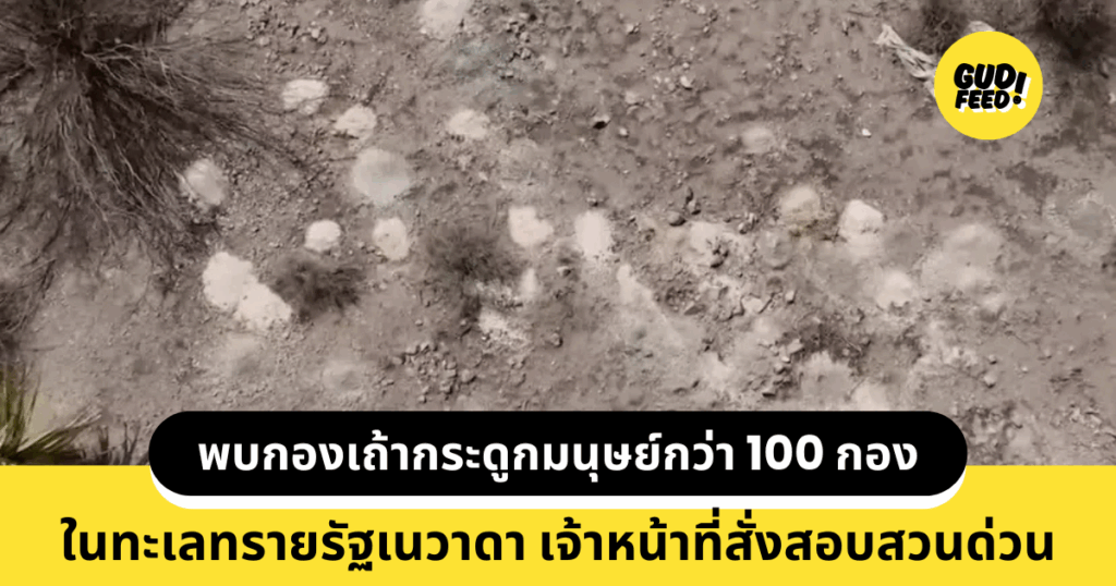 เถ้ากระดูก